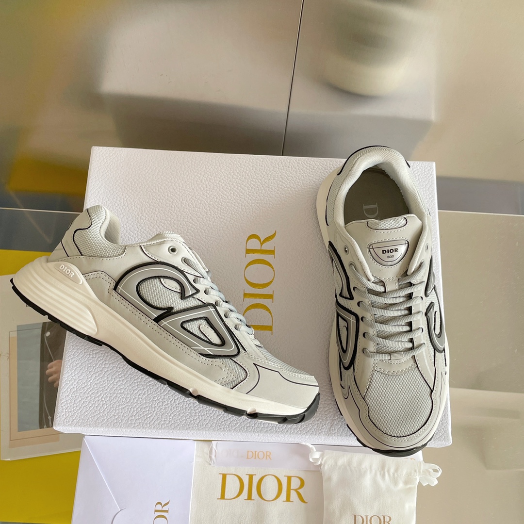 Dior B30 Dad Sneakers Gray