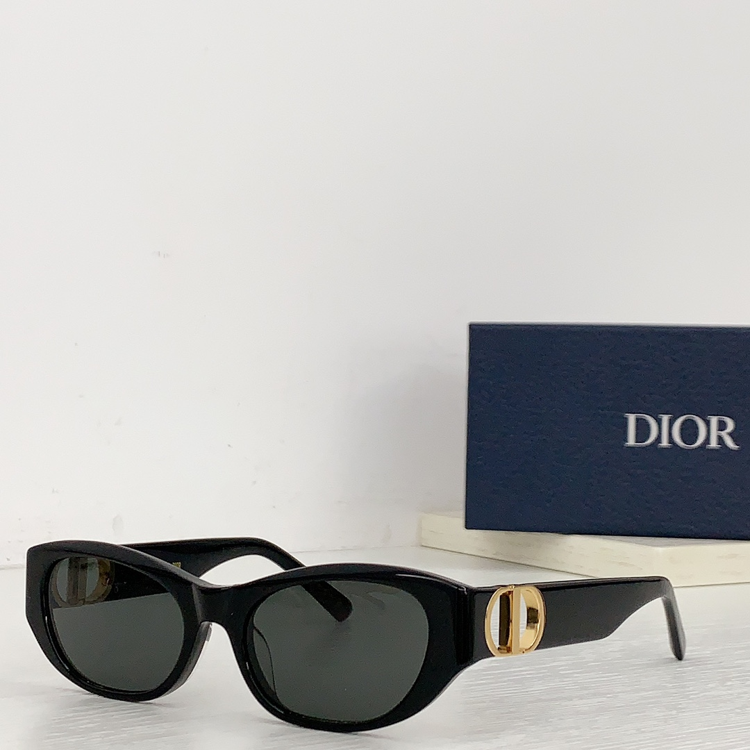 Dior Hollow Logo Sunglasses