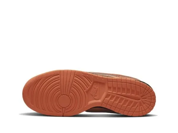 Concepts x Dunk SB Low “Orange Lobster”
