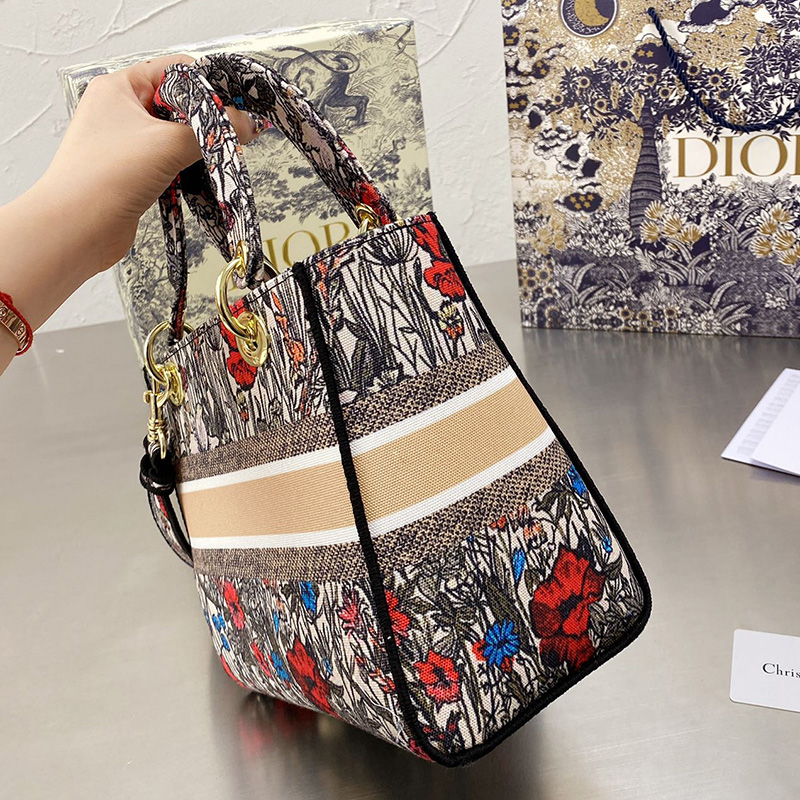 Dior The LADY D-LITE Bag