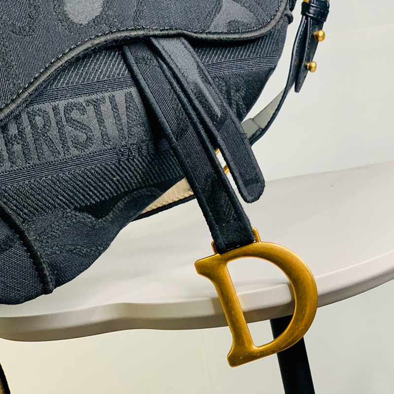 Dior Womens Bag Saddle Bag