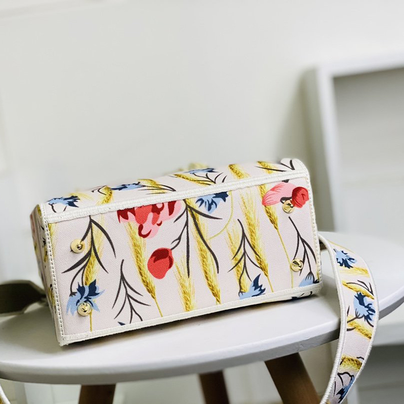 Dior The LADY D-LITE Bag