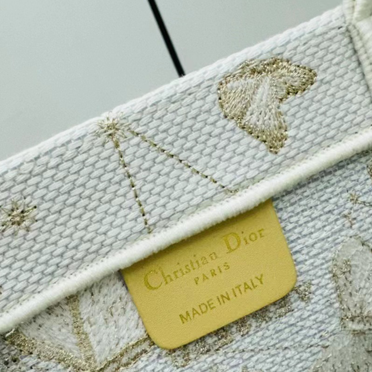 Dior Medium Book Tote Bag Totes Handbag