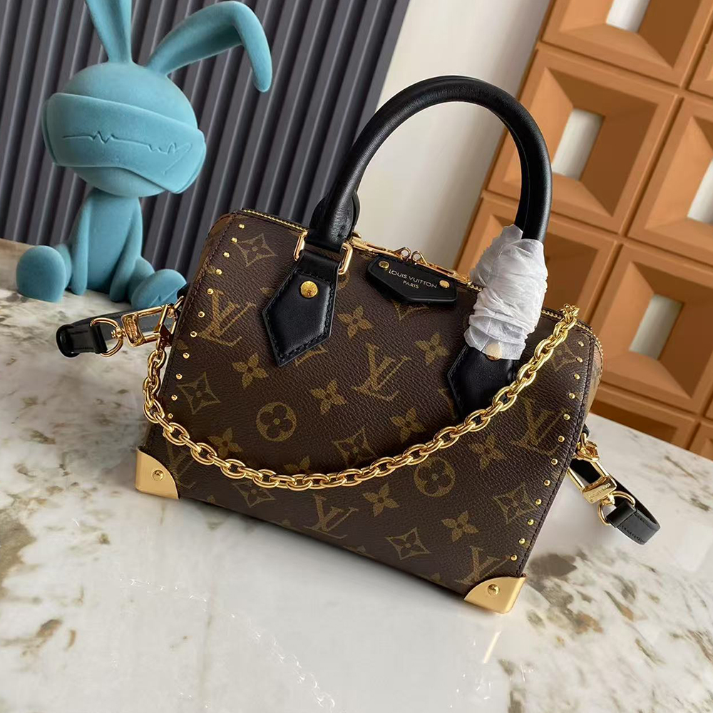 Louis Vuitton Speedy Trunk 20 Bag