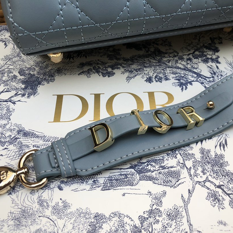 Dior The LADY D-LITE Bag