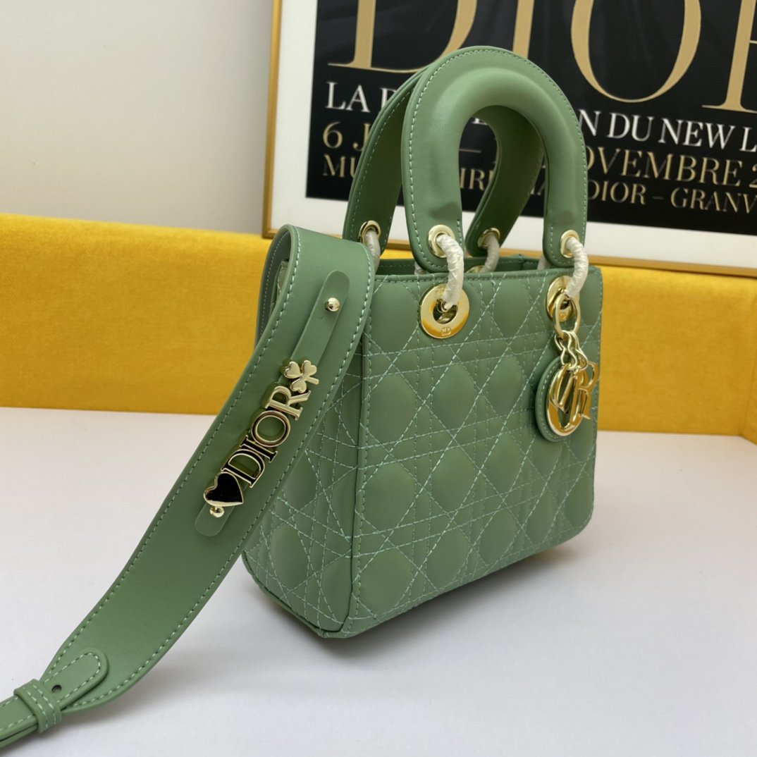 Dior The LADY D-LITE Bag