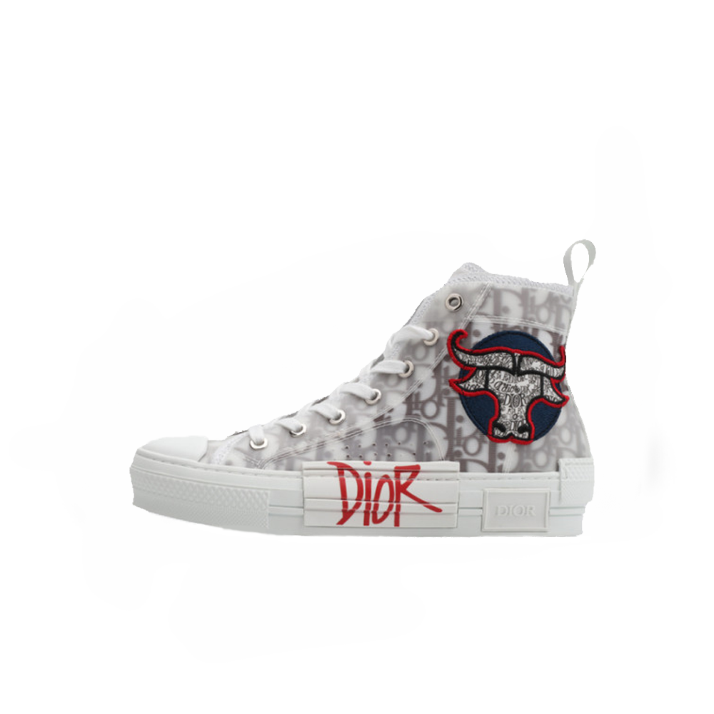 Dior B23 Oblique High Top Shoes