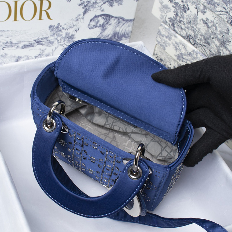 Dior The LADY D-LITE Bag