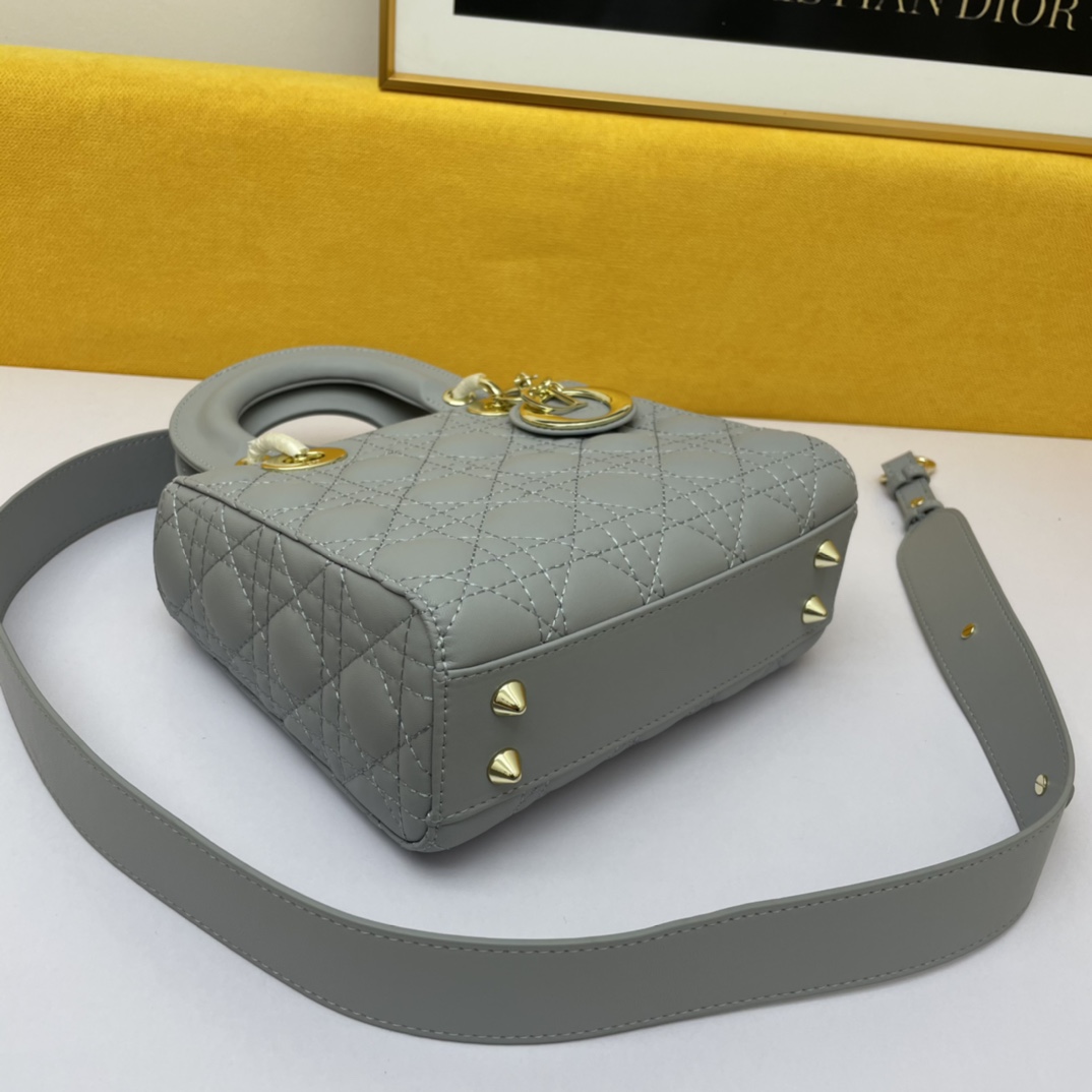 Dior The LADY D-LITE Bag