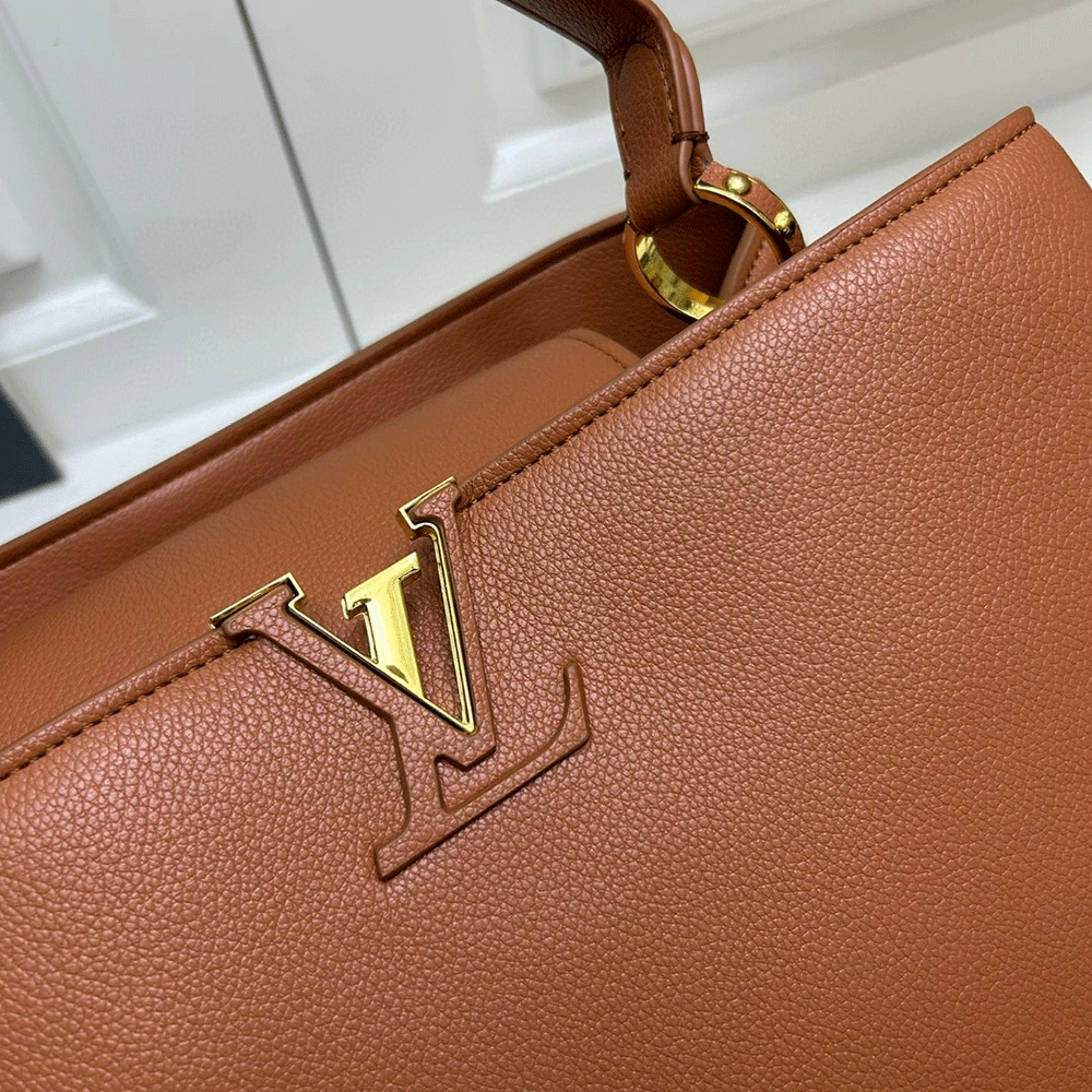 Louis Vuitton LV  CapucinesSouple Large Handbags