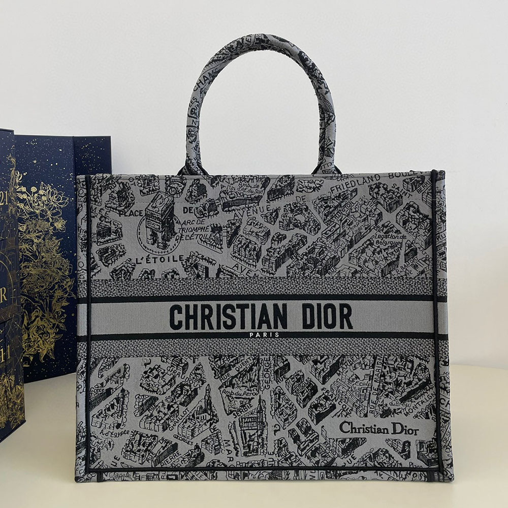 DIOR Book Tote Paris Map Bags