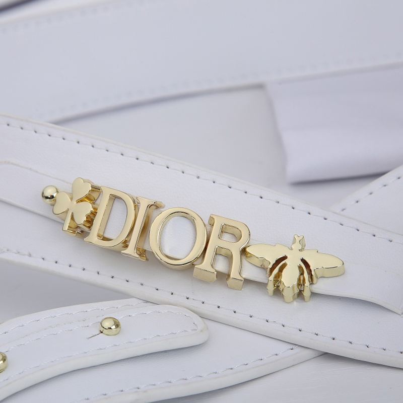 Dior The LADY D-LITE Bag