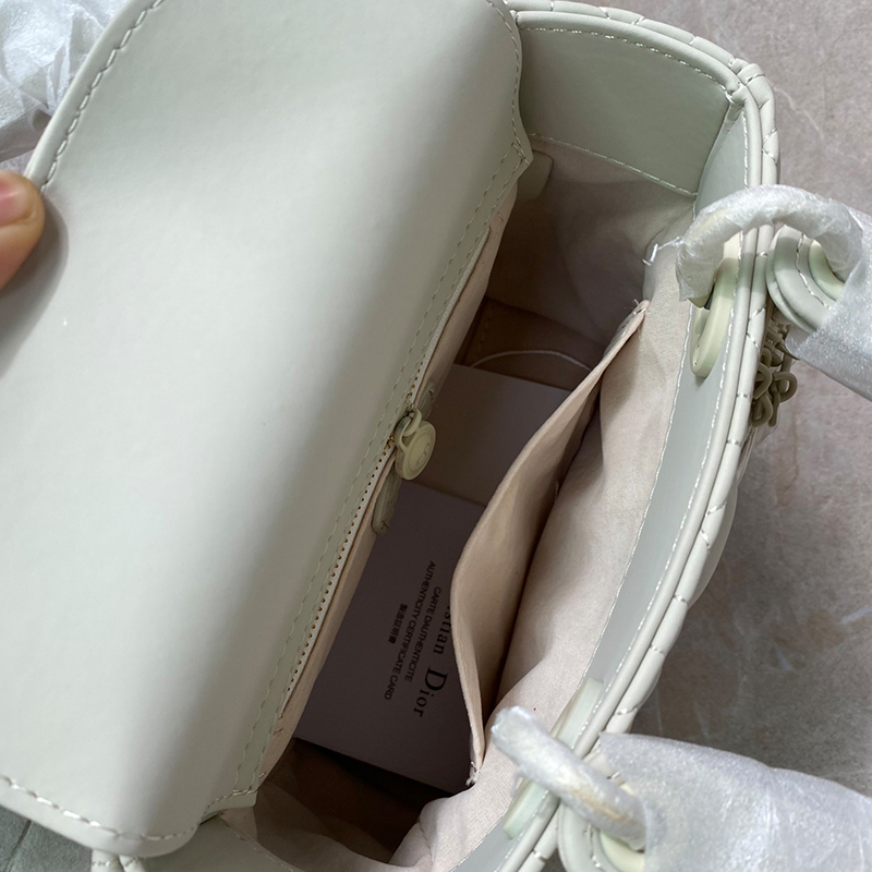 Dior The LADY D-LITE Bag