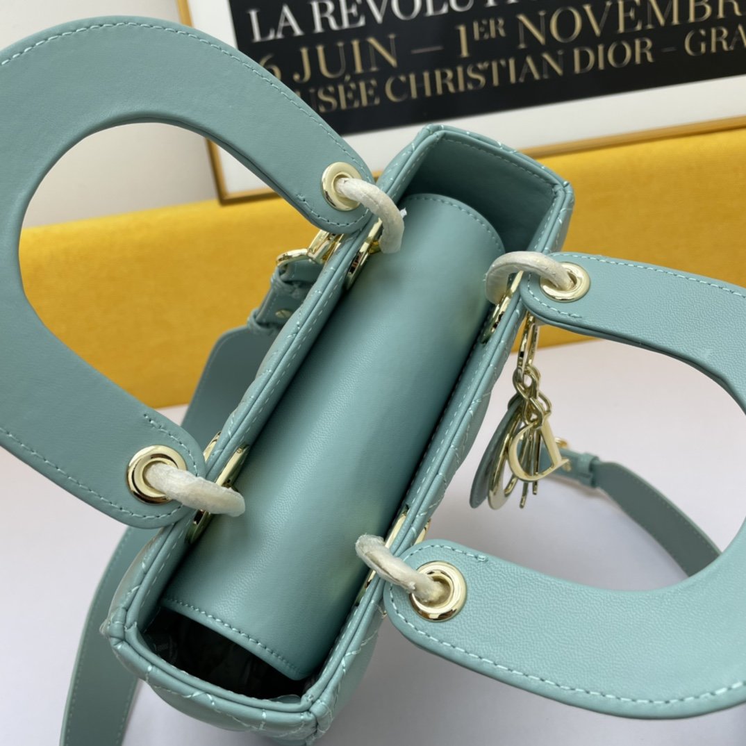 Dior The LADY D-LITE Bag