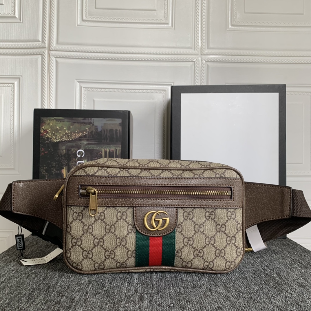 Gucci Canvas & Leather Waist bag