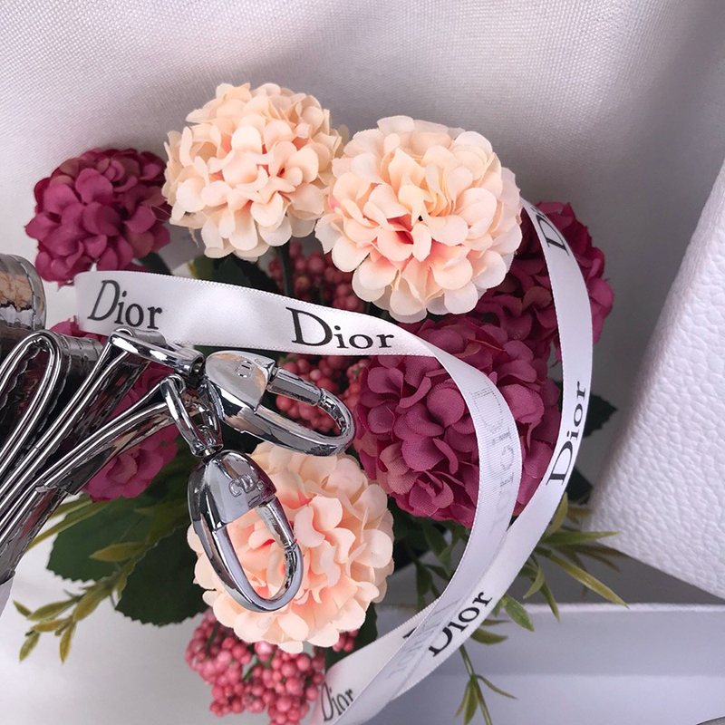 Dior The LADY D-LITE Bag