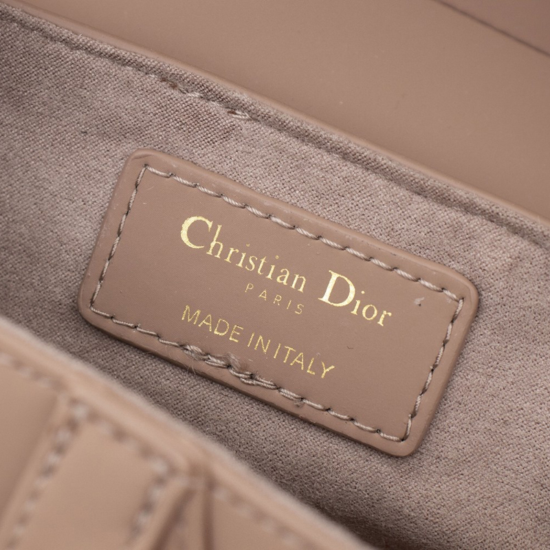 Dior SADDLE Bag Pink Ultramatte Calfskin