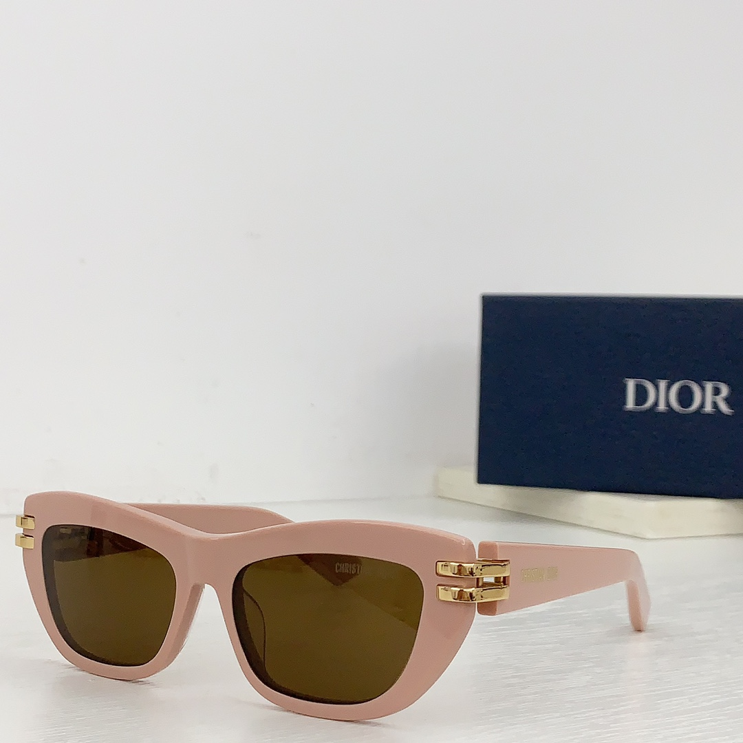 Dior Thick Acetate Sunglasses
