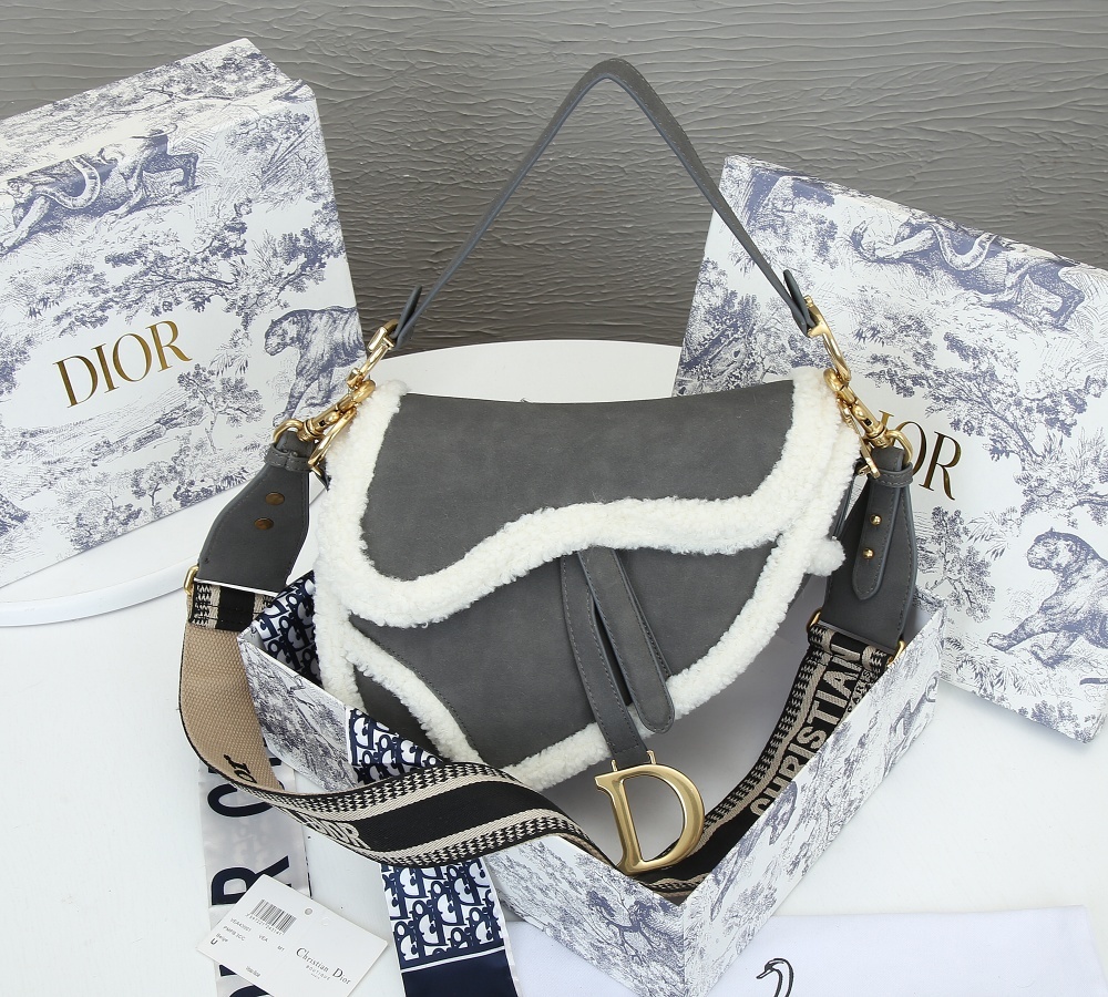 Dior SADDLE Bag