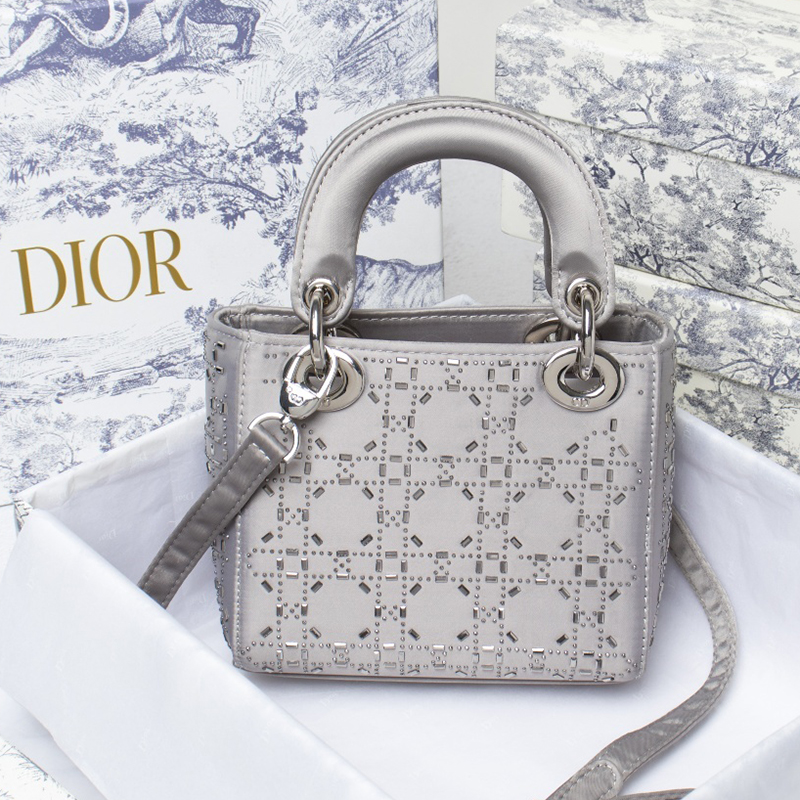 Dior The LADY D-LITE Bag