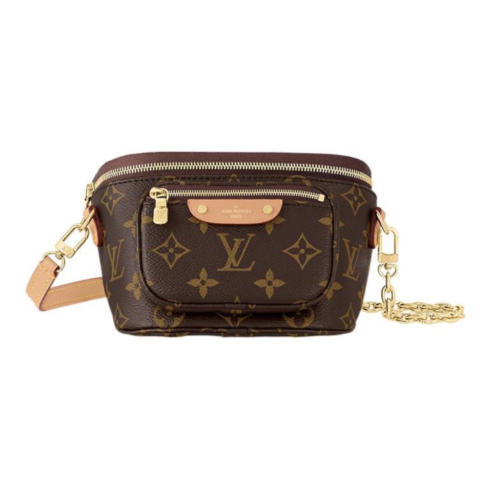 Louis Vuitton LV Bumbag Bag