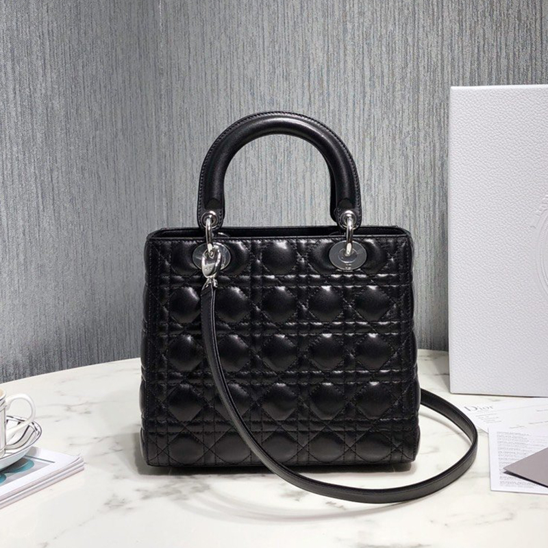 Dior The LADY D-LITE Bag