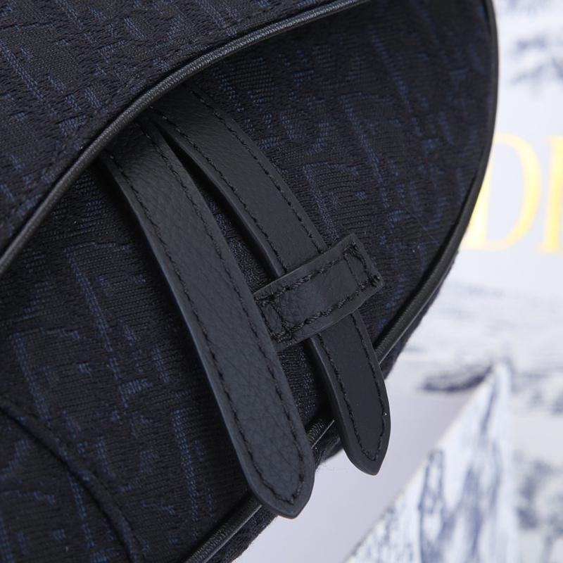 Dior SADDLE Bag Mini Saddle Bag with Original Box