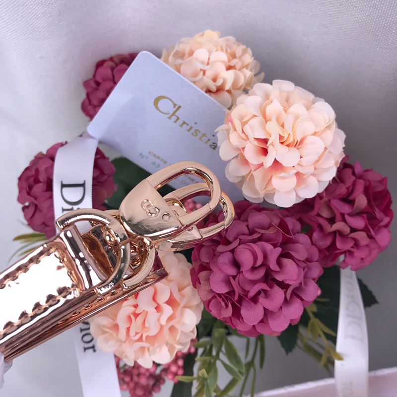 Dior The LADY D-LITE Bag