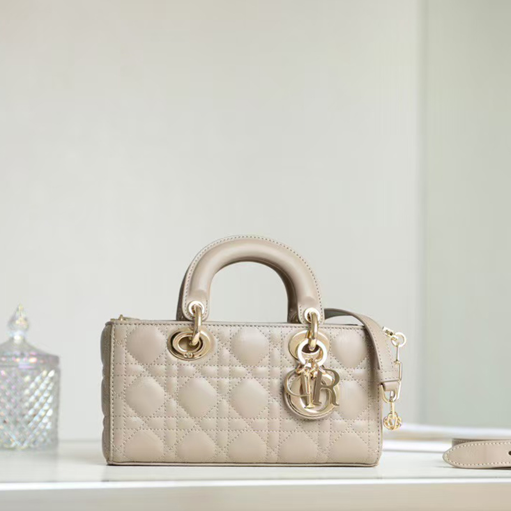 Dior Small Lady D-Joy