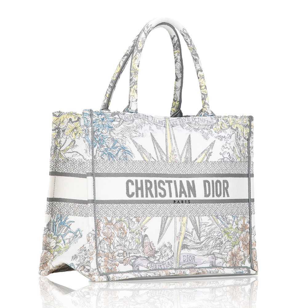 DIOR Book Tote Starlight&Star Tote Bags