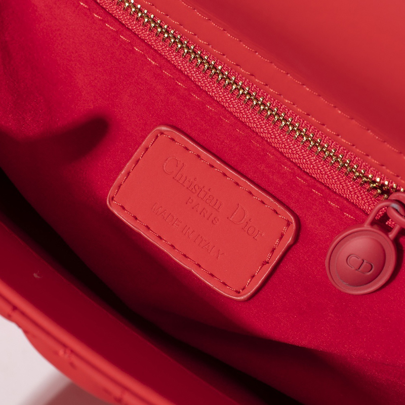 Dior The LADY D-LITE Bag