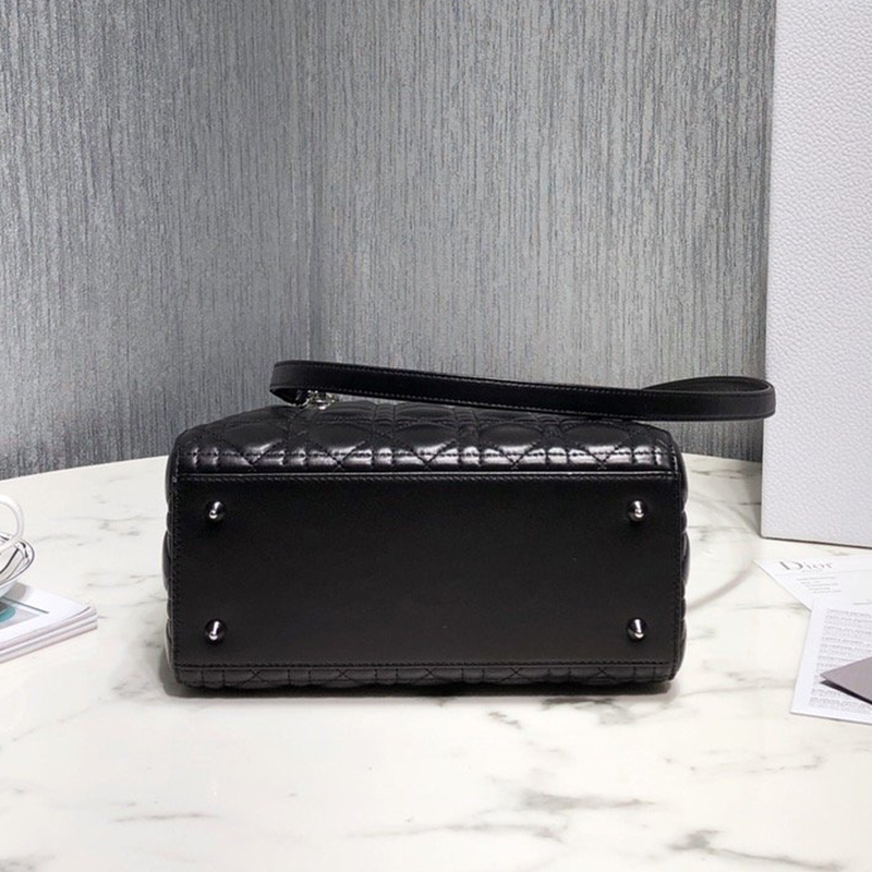 Dior The LADY D-LITE Bag