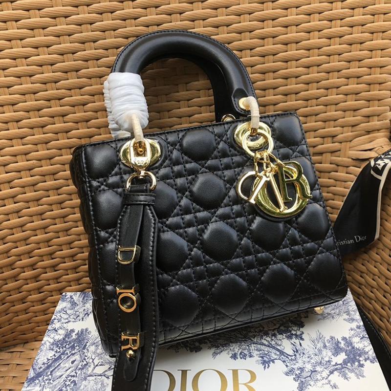 Dior The LADY D-LITE Bag