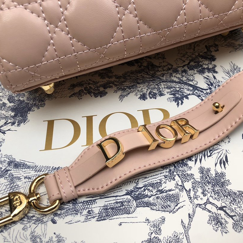 Dior The LADY D-LITE Bag