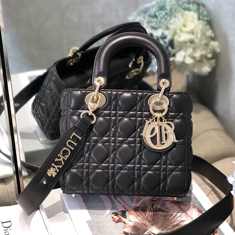 Dior The LADY D-LITE Bag