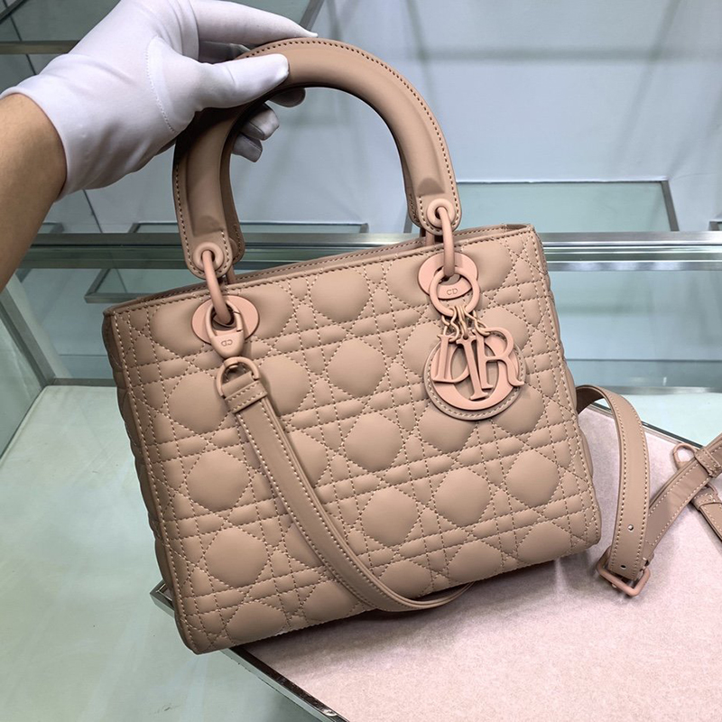 Dior The LADY DIOR Bag MINI SIZE(17*15*7cm)