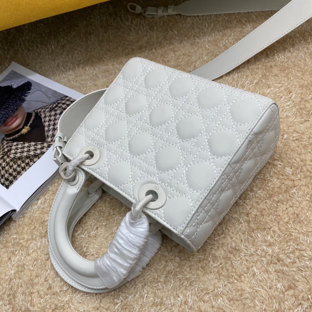 Dior The LADY D-LITE Bag