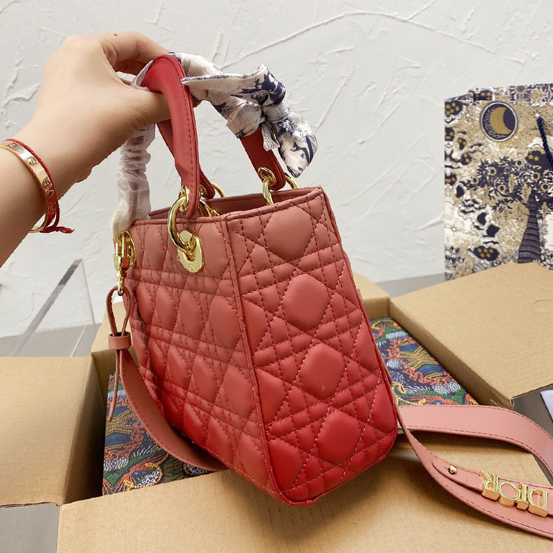 Dior The LADY D-LITE Bag