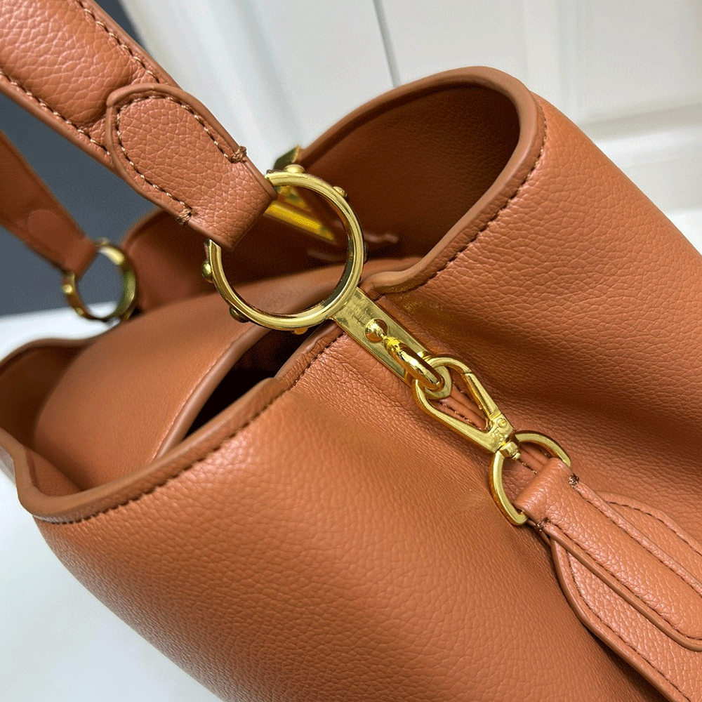 Louis Vuitton LV  CapucinesSouple Large Handbags