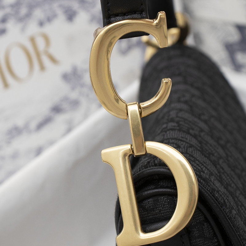 Dior SADDLE Bag