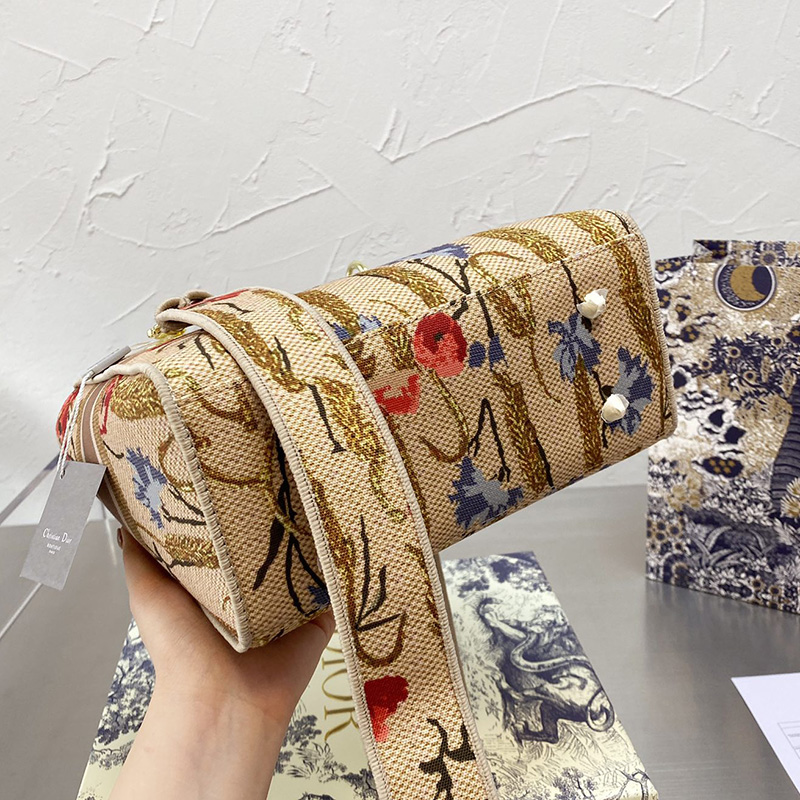 Dior The LADY D-LITE Bag