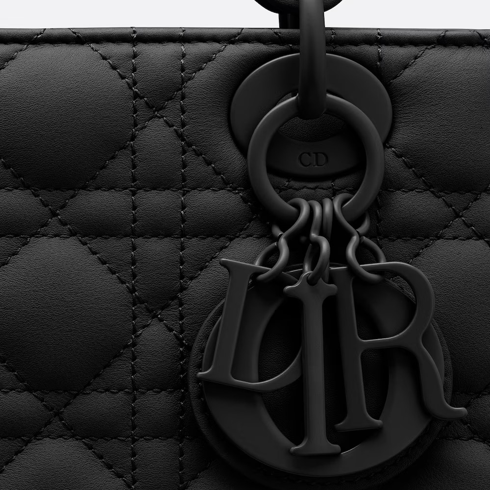 Dior The LADY D-LITE Bag