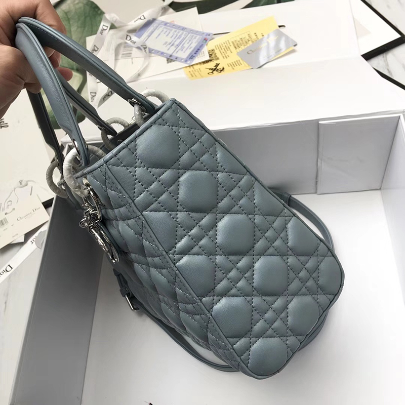 Dior The LADY D-LITE Bag
