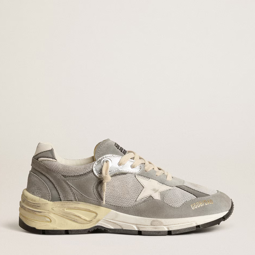 Golden Goose Dad-Star Shoes in Dove Gray Mesh and Suede