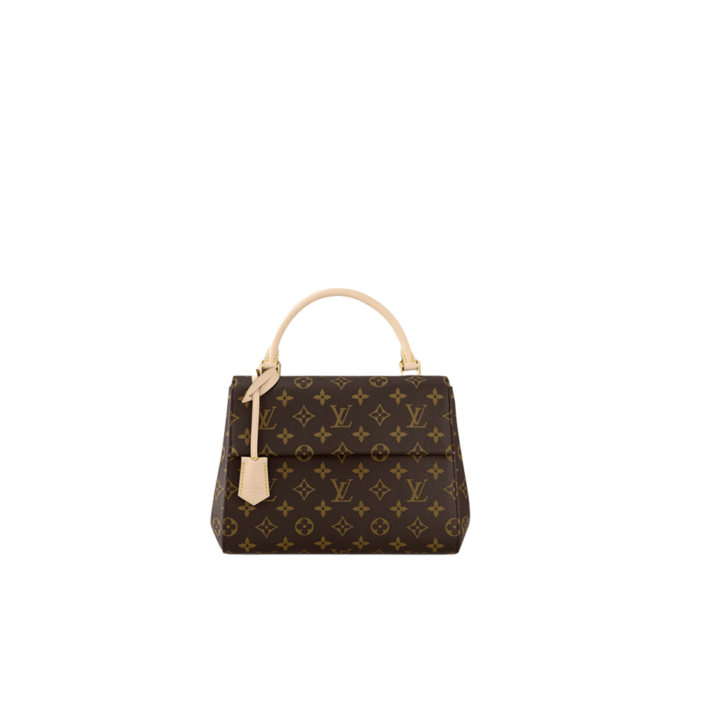 LV Cluny Bag