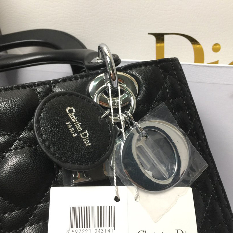 Dior The LADY D-LITE Bag