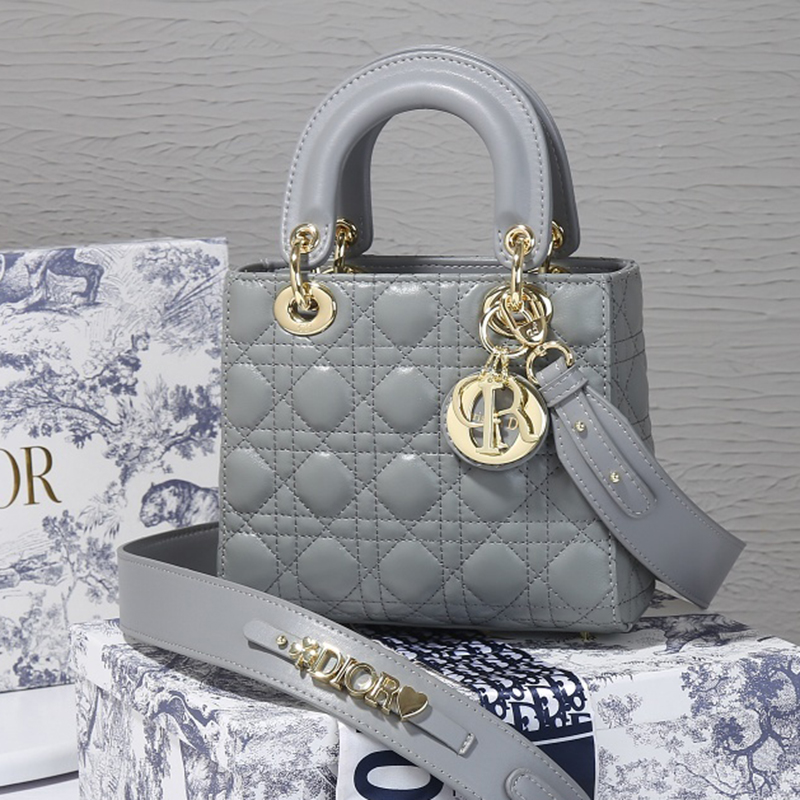 Dior The LADY D-LITE Bag