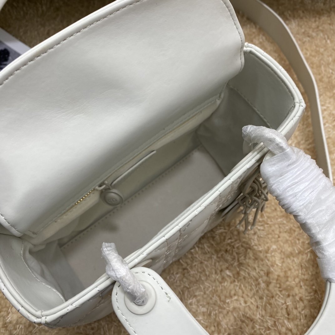 Dior The LADY D-LITE Bag