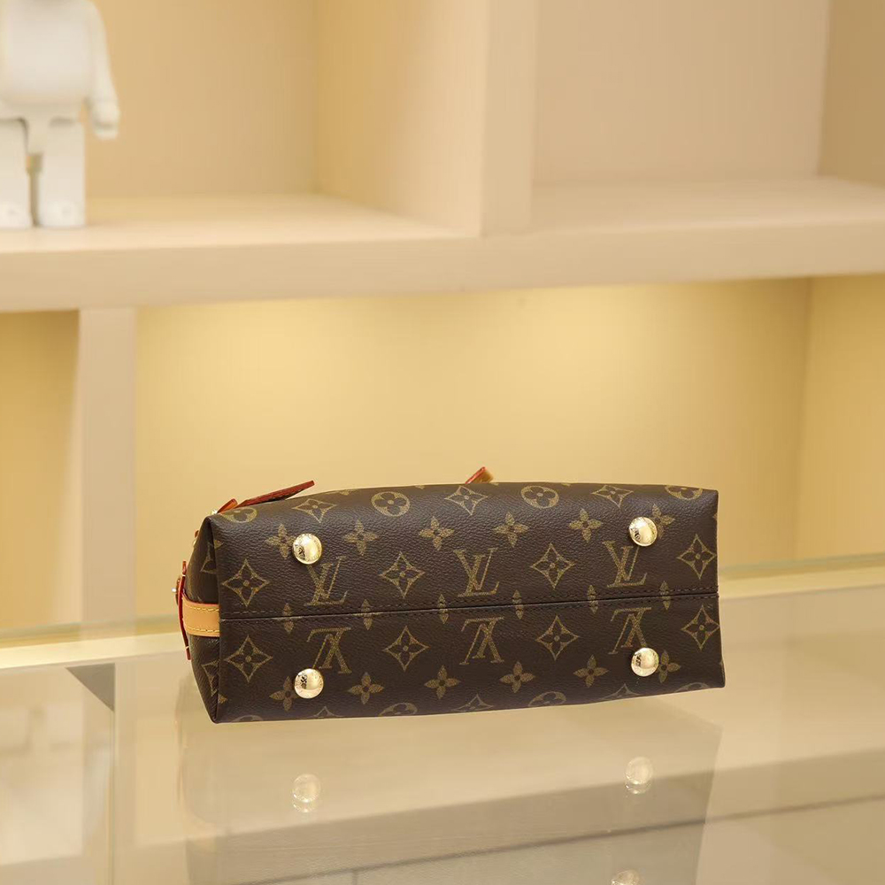 Louis Vuitton  CarryAll BB
