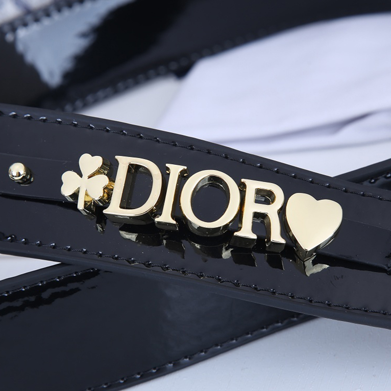 Dior The LADY D-LITE Bag